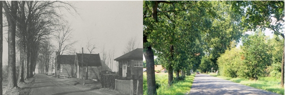 het tolhuis