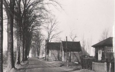 Het ontstaan van de Domela Nieuwenhuisweg