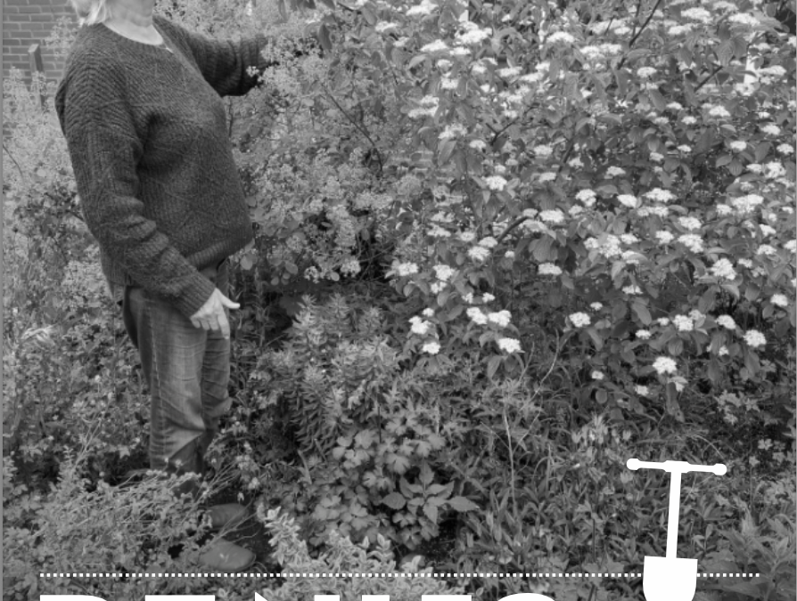 De Nijs Beetster juni 25